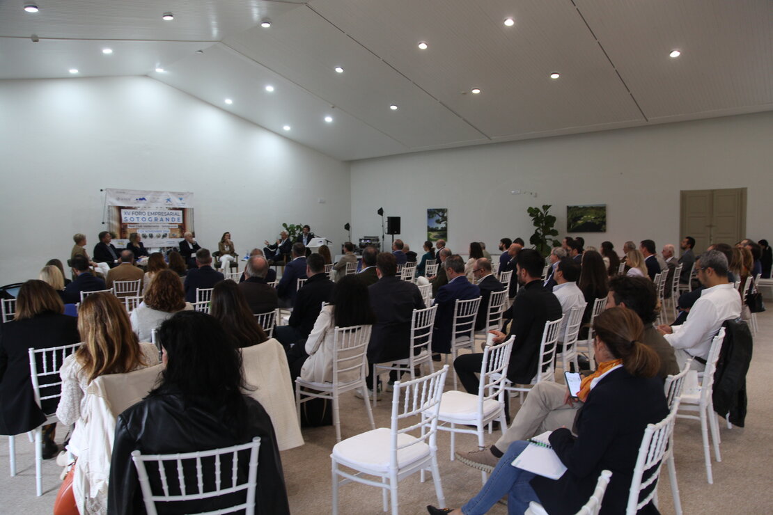 XV Foro Empresarial Sotogrande