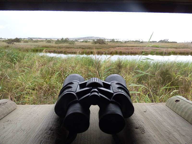 Estuario río Guadiaro