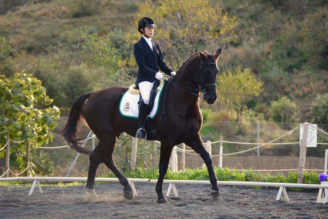 Dressage Sotogrande