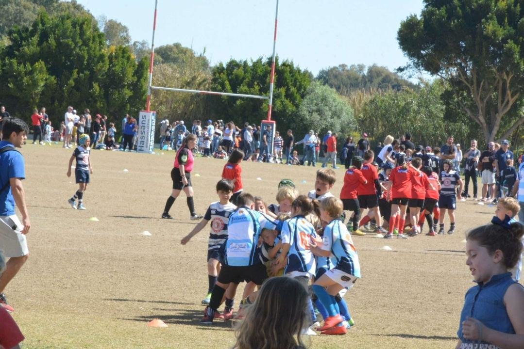 Rugby - concentración