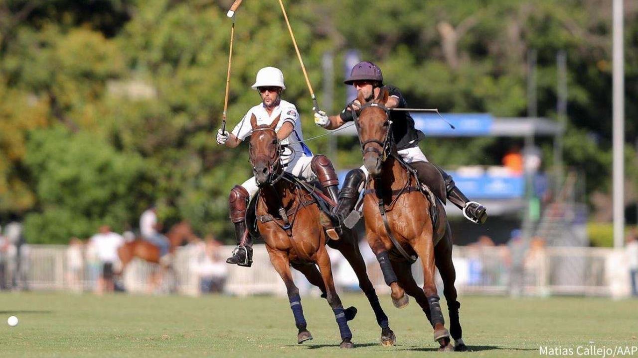 Abierto Argentino de Polo 2019. Foto: M. Callejo