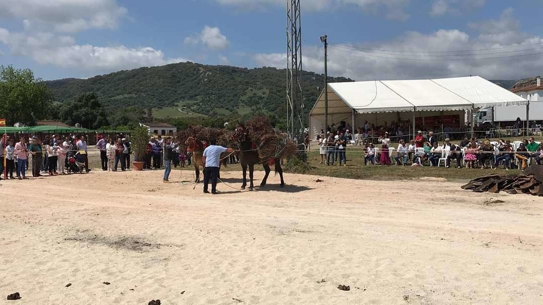 Suspensin_Feria_de_Mayo_2020_COVID19