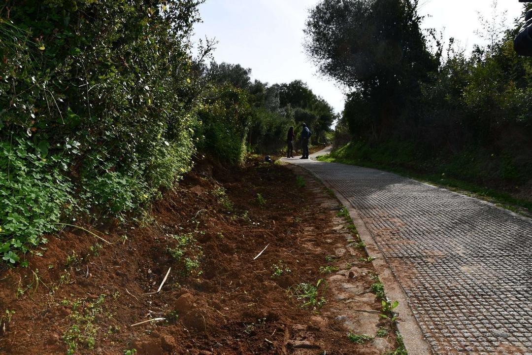 Cañada Real de Guadiaro