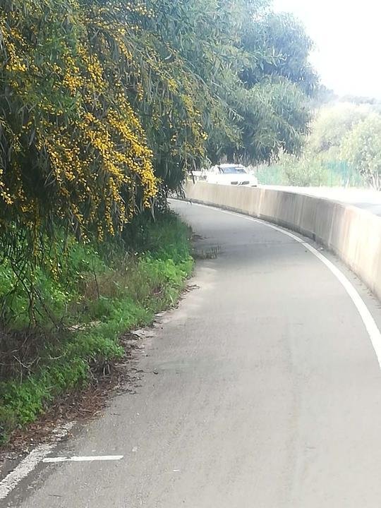 Arenillas, carril bici