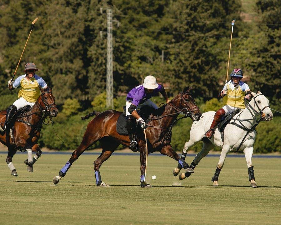 Iberian Polo en Ayala