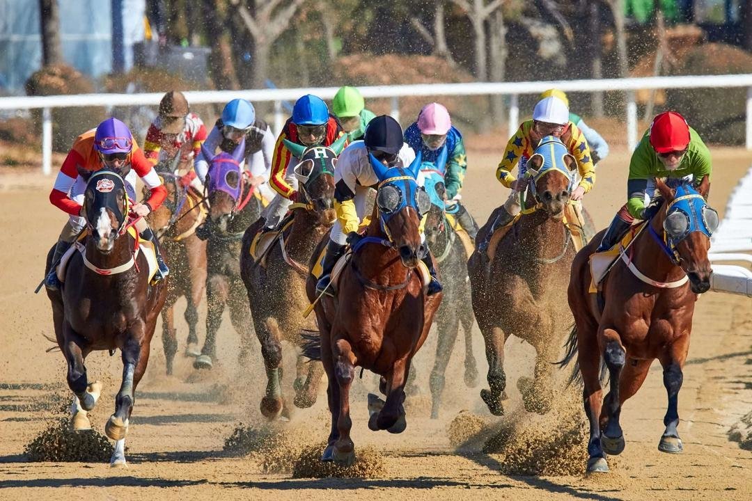 Carreras de caballos