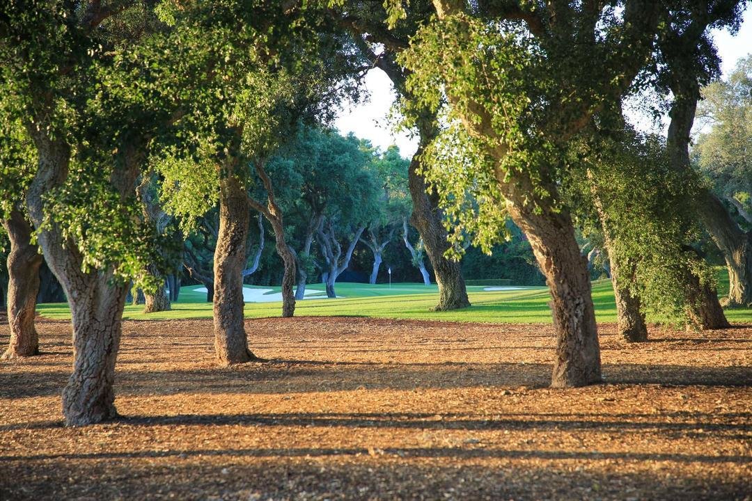 Real Club Valderrama