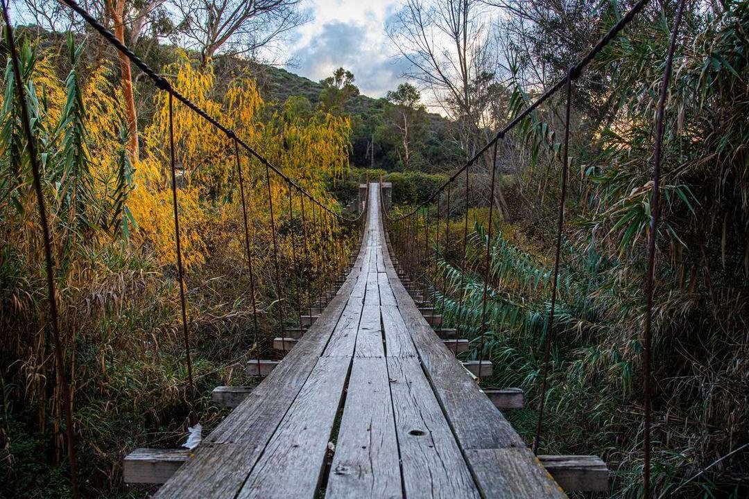 Puente-colgante-Tesorillo