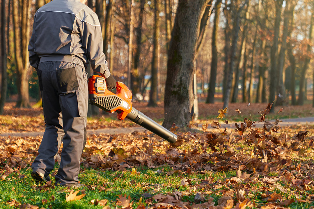 Unrecognizable male worker using leaf blower in city park in fall. Back view of strong man wearing protective overalls blowing out dry leaves from green lawn. Concept of seasonal work.