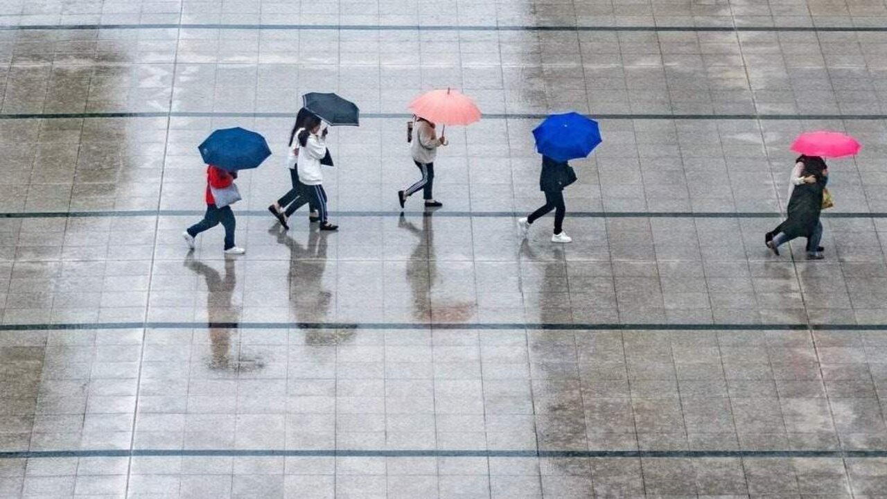 Temporal lluvia